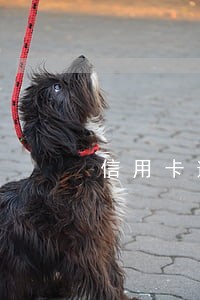 信用卡逾期半个月 征信 信用卡逾期半个月 征信